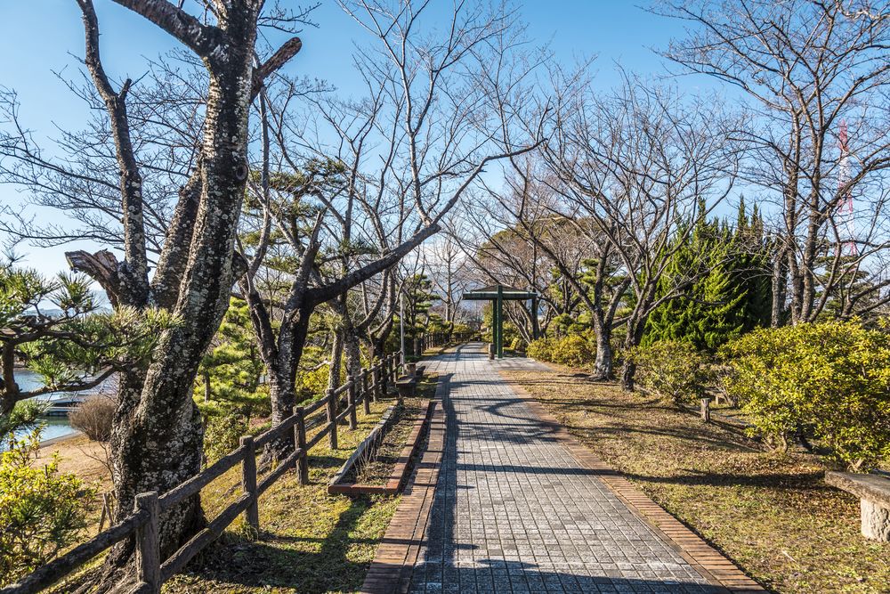 船頭平河川公園の画像 - 4枚目