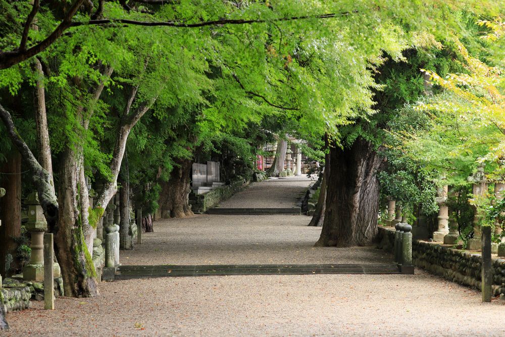 積田神社の画像 - 3枚目