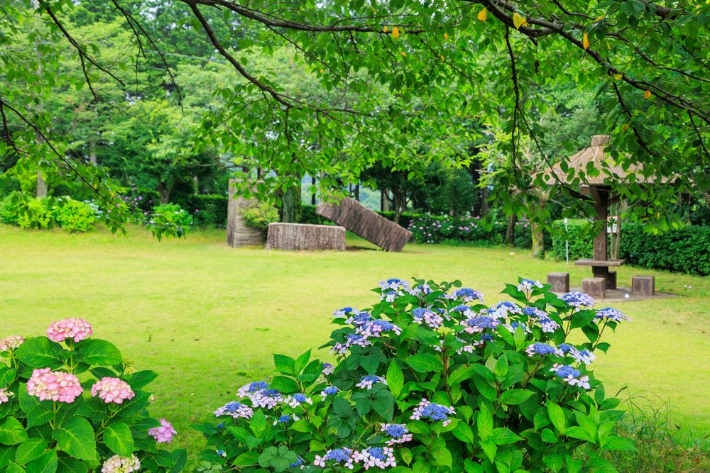 万葉の里公園の画像 - 2枚目