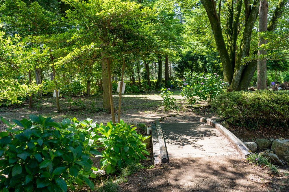 万葉の里公園の画像 - 4枚目