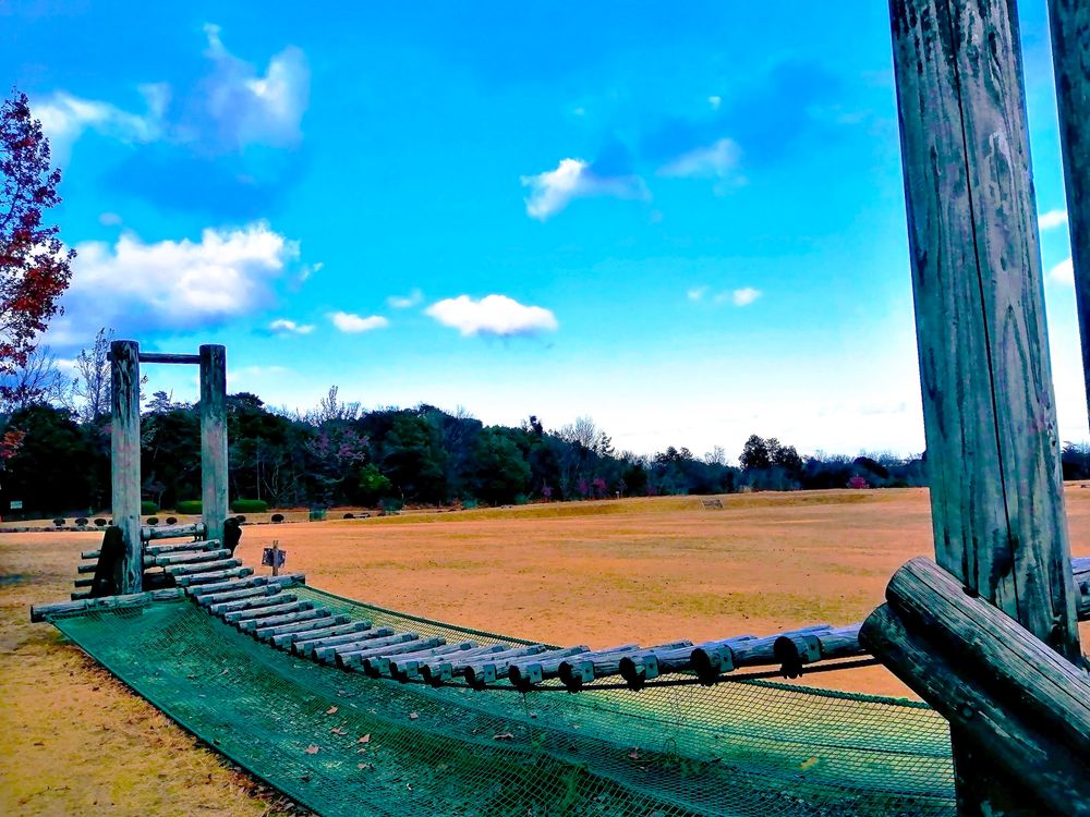 三重県民の森の画像 - 2枚目