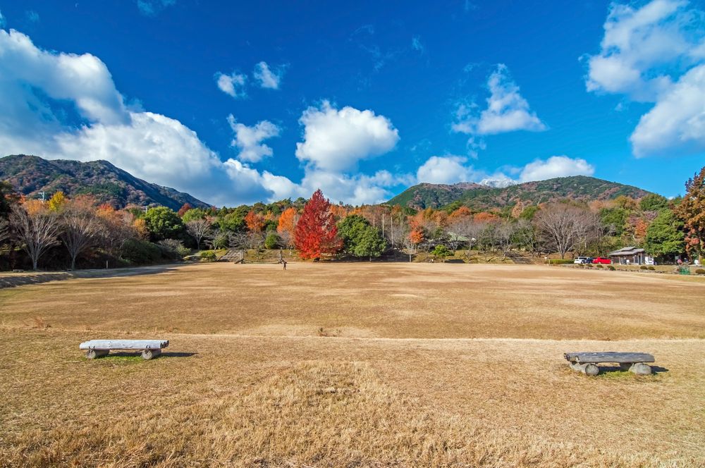 三重県民の森の画像 - 7枚目