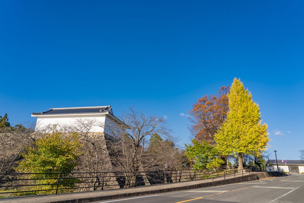 亀山城跡の画像 - 2枚目