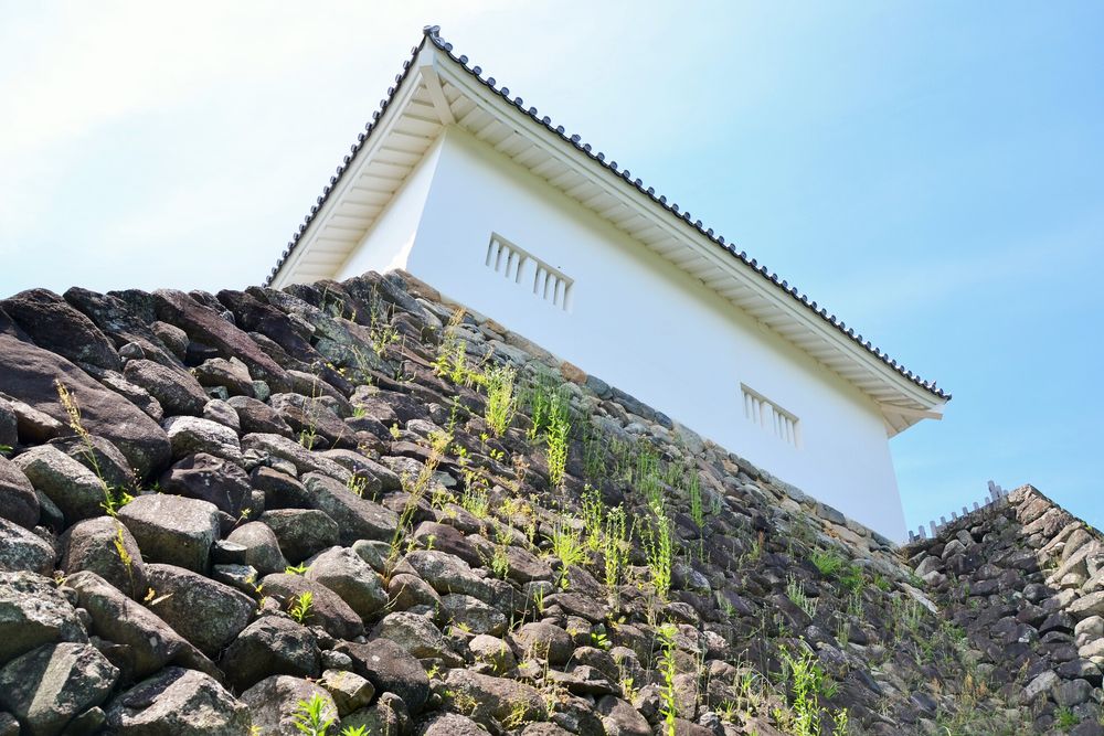 亀山城跡の画像 - 3枚目