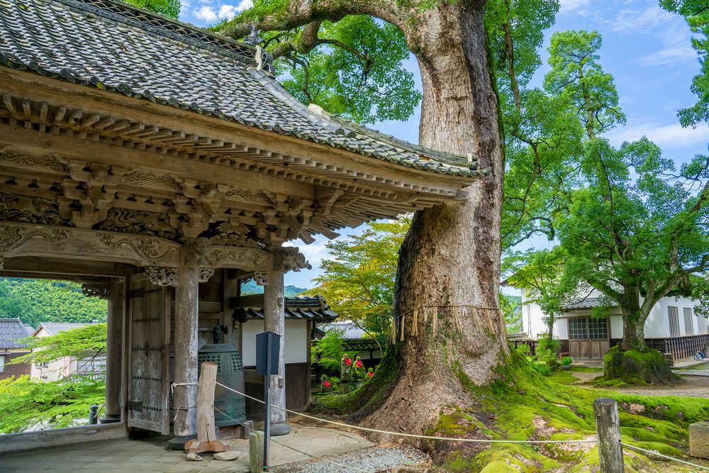 大乗寺の画像 - 3枚目