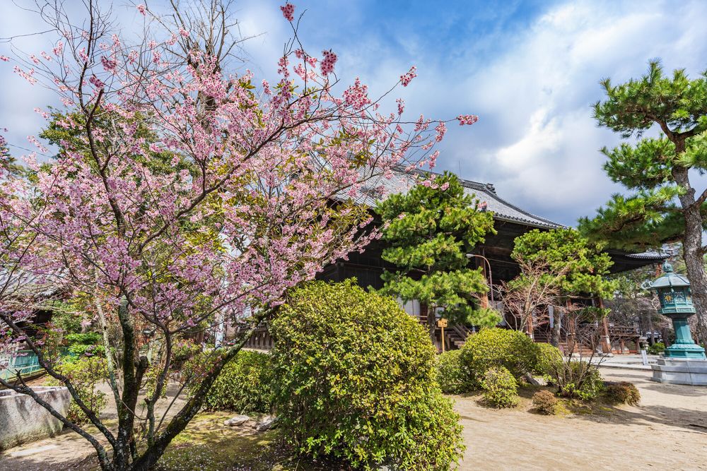 百萬遍知恩寺の画像 - 3枚目