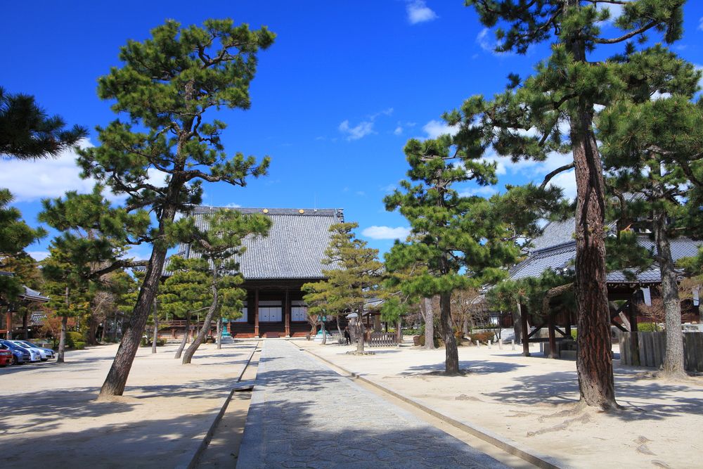 百萬遍知恩寺の画像 - 4枚目