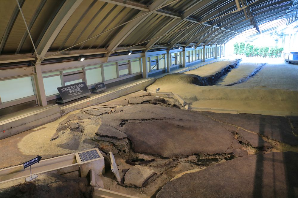 北淡震災記念公園 野島断層保存館】の周辺スポット・アクセス・口コミ