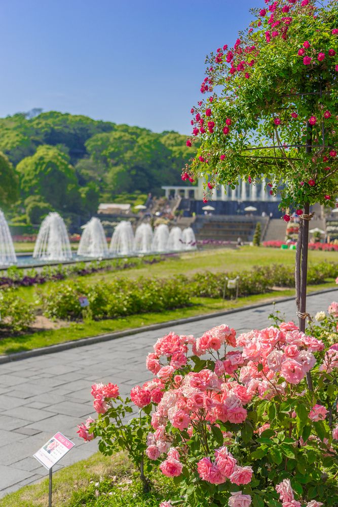 須磨離宮公園の画像 - 4枚目