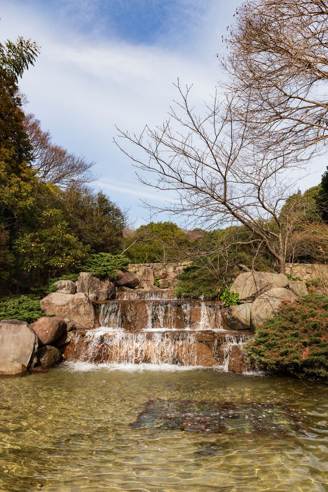 須磨離宮公園の画像 - 6枚目