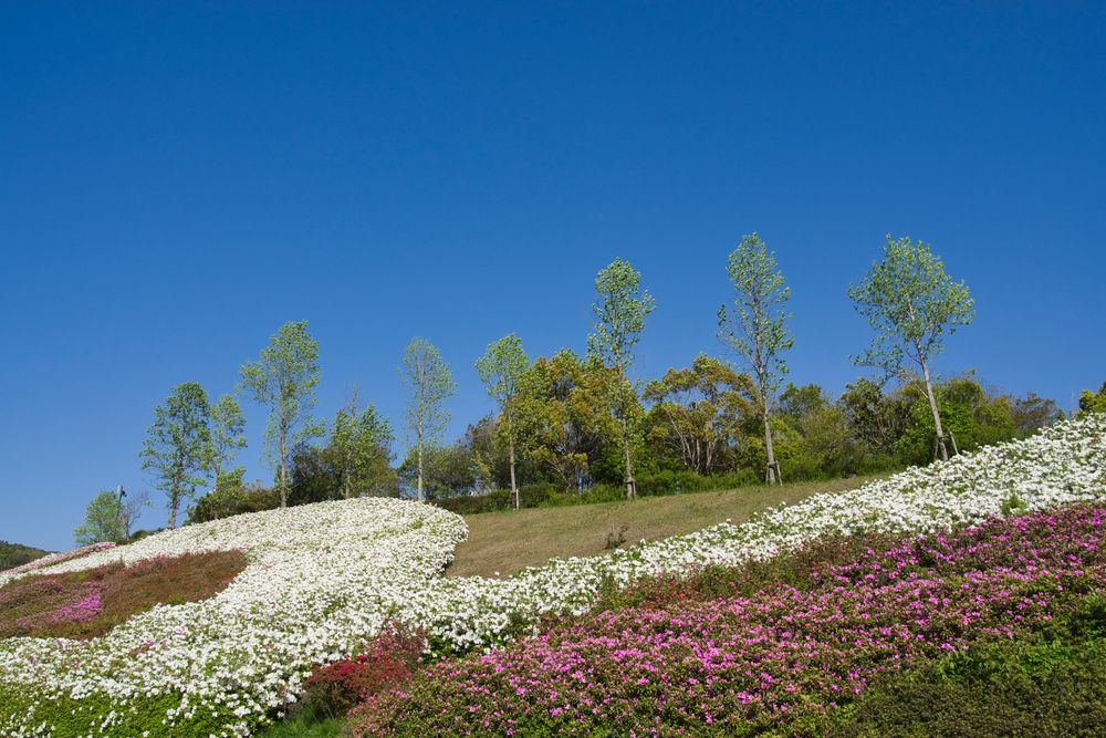 四季の郷公園の画像 - 5枚目