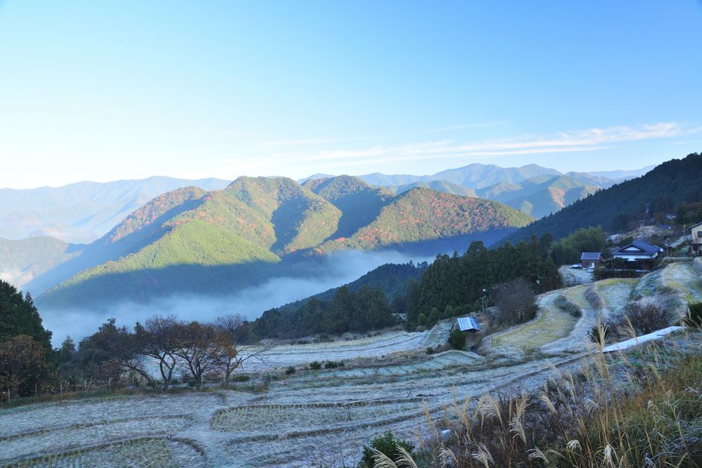 高原霧の里の画像 - 2枚目