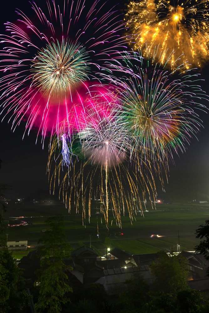 佐用町南光ひまわり畑の画像 - 5枚目