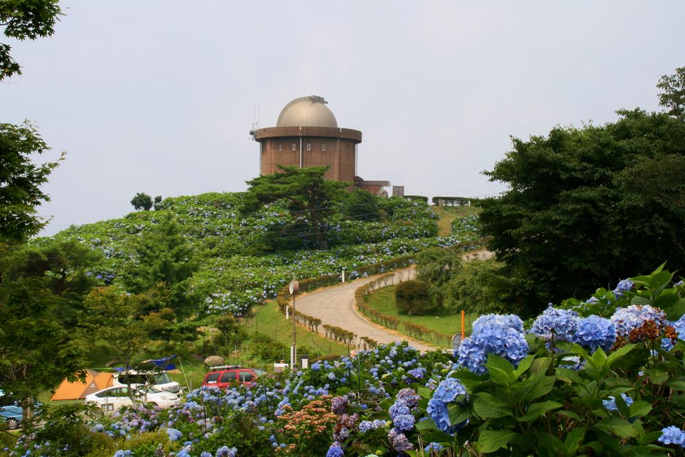 大野アルプスランドの画像 - 3枚目