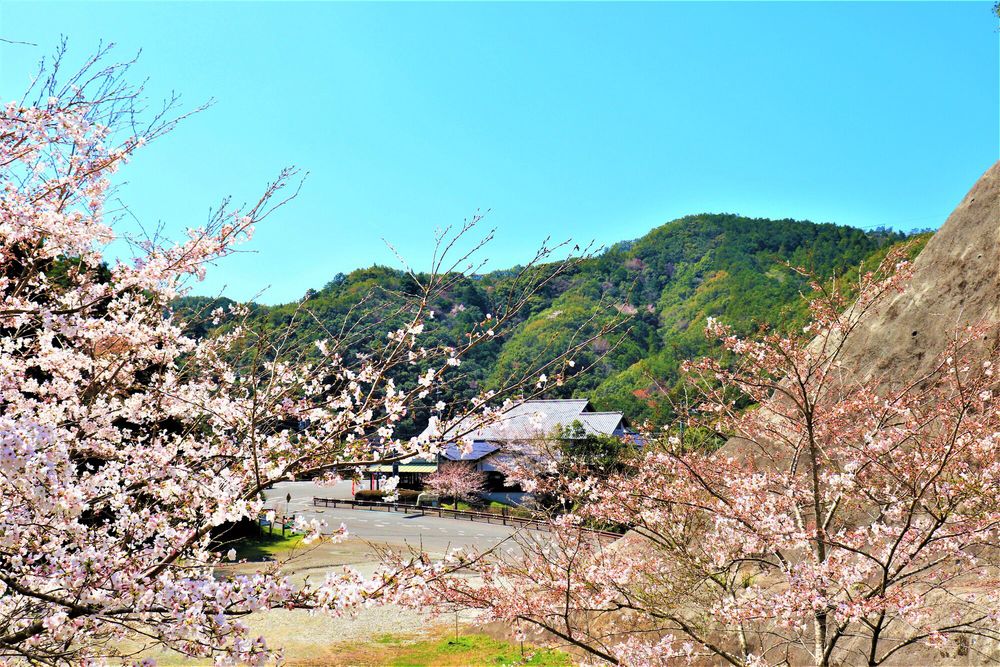 道の駅 紀州備長炭記念公園の画像 - 2枚目