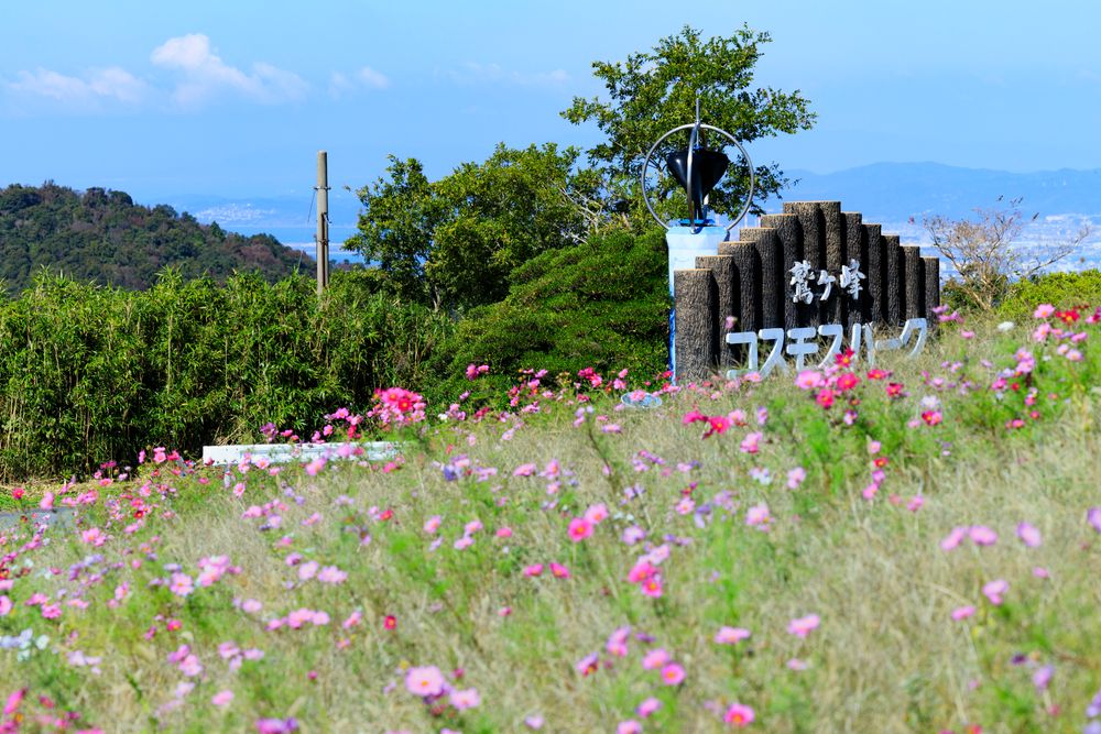 鷲ヶ峰コスモスパーク】の周辺スポット・アクセス・口コミ - Prism Japan