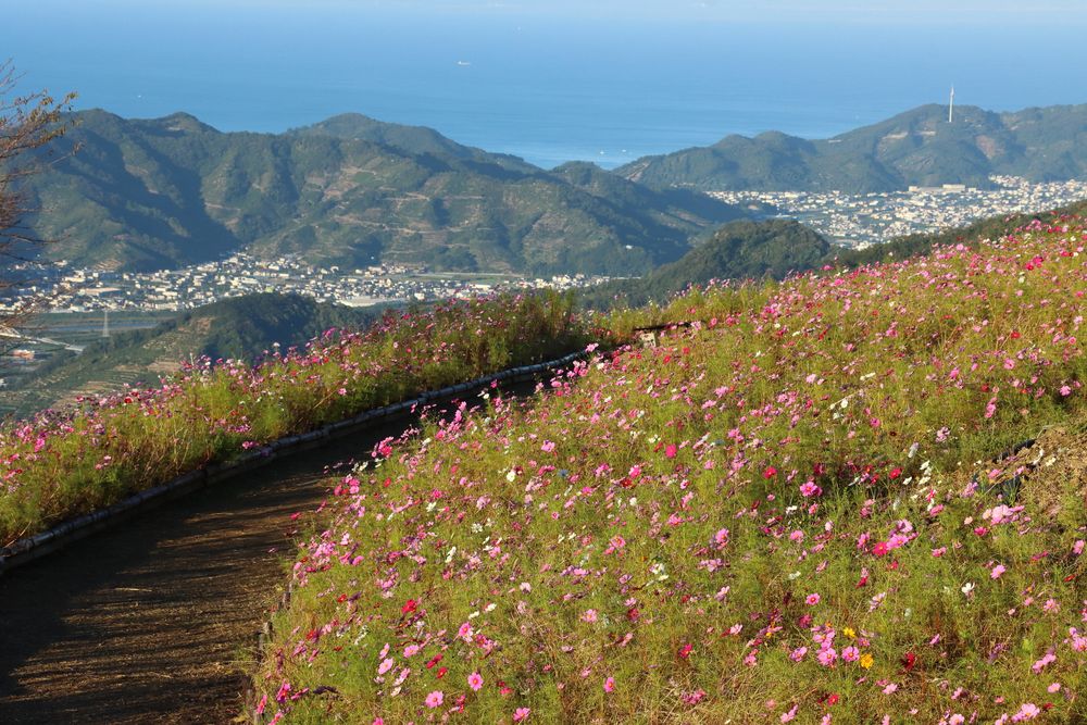 鷲ヶ峰コスモスパーク】の周辺スポット・アクセス・口コミ - Prism Japan
