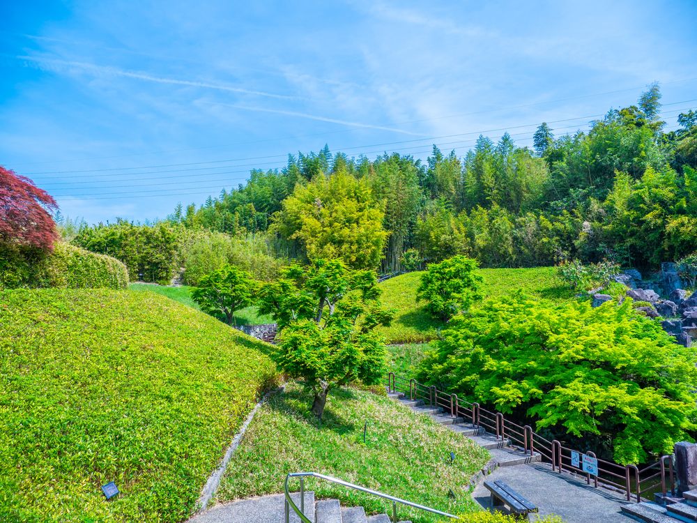 京都市洛西竹林公園の画像 - 5枚目
