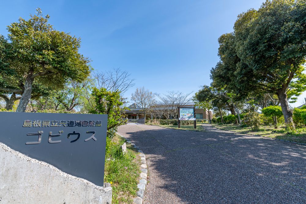 島根県立宍道湖自然館 ゴビウス