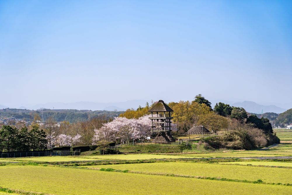 伯耆古代の丘公園の画像 - 2枚目