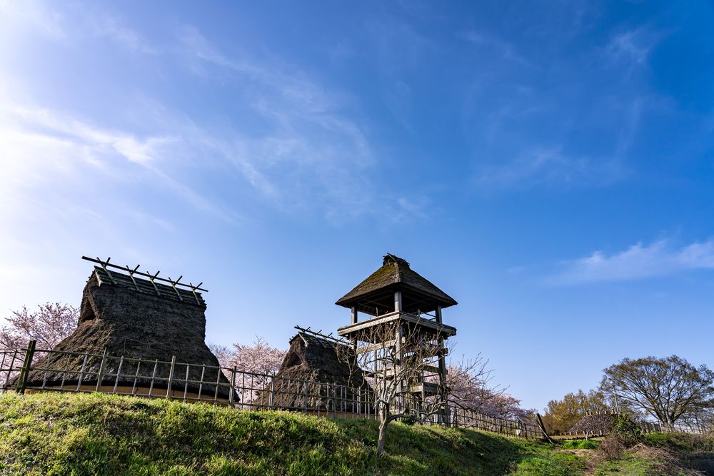 伯耆古代の丘公園の画像 - 4枚目