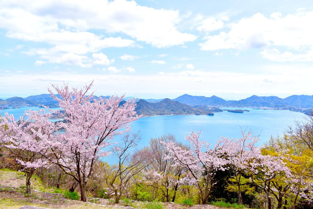 筆影山展望台の画像 - 4枚目