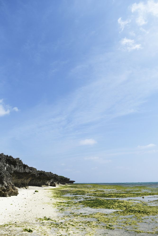 黒島の画像 - 2枚目