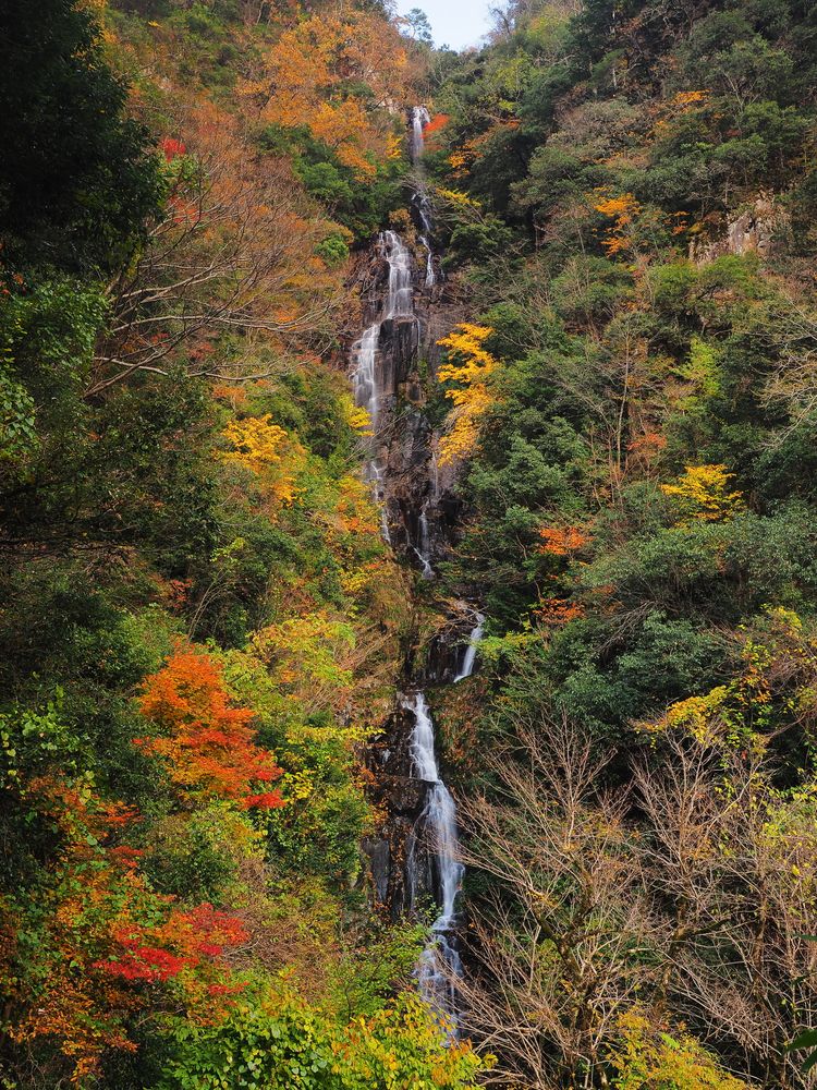常清滝の画像 - 3枚目