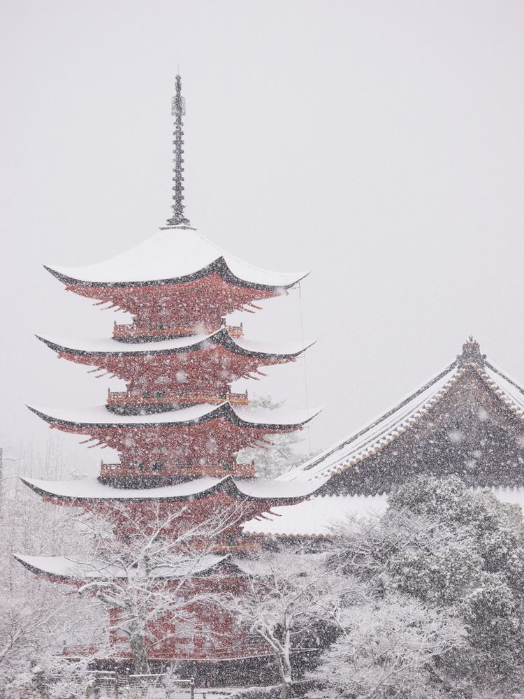 豊国神社 五重塔】の周辺スポット・アクセス・口コミ - Prism Japan