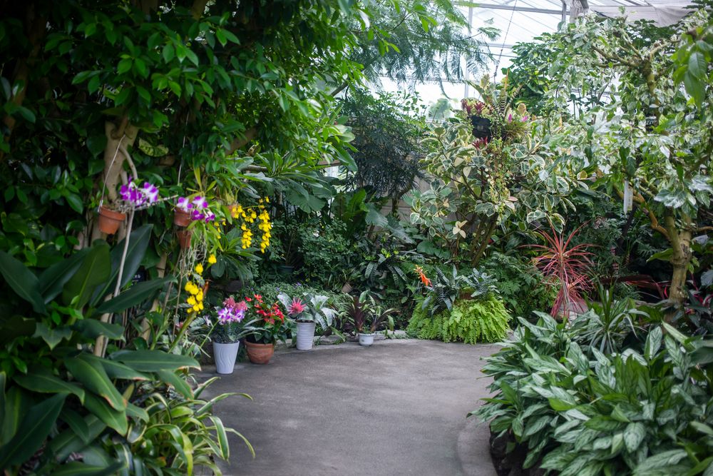 佐野植物公園の画像 - 2枚目