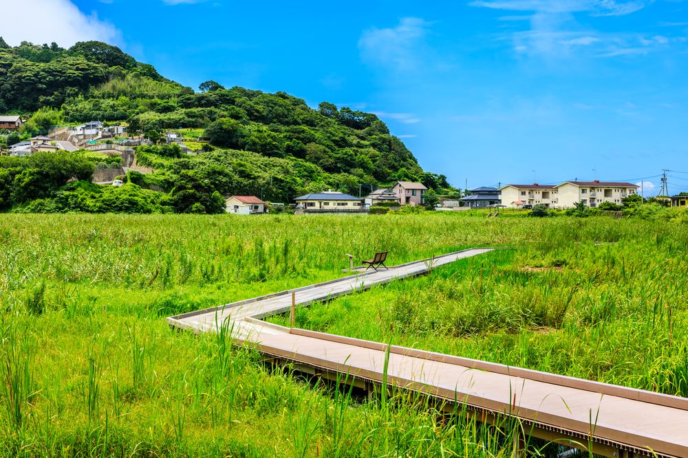 黒崎永田湿地自然公園の画像 - 2枚目