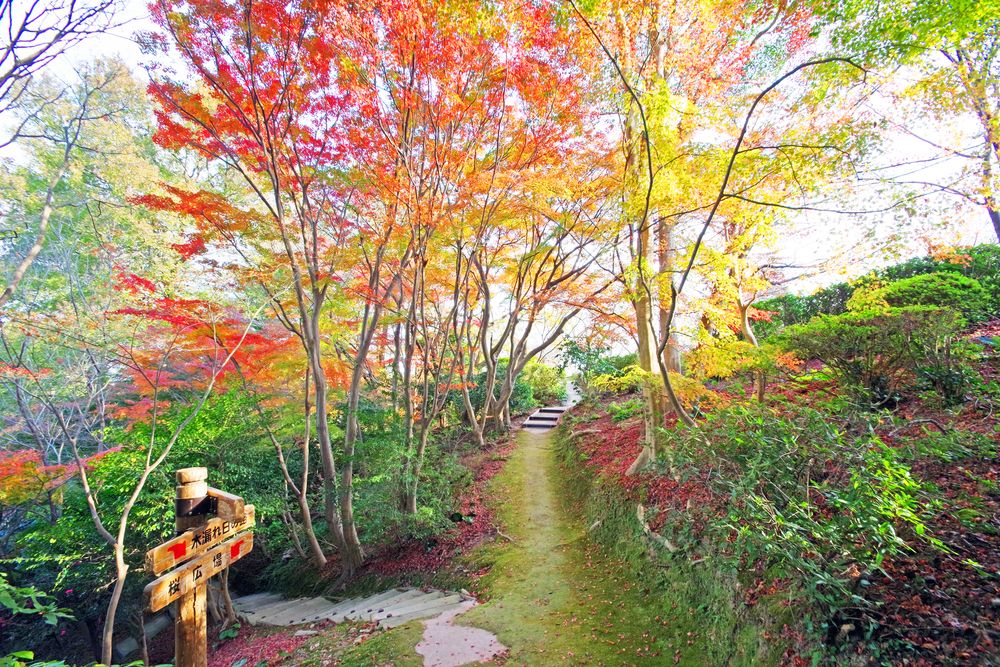 白野江植物公園の画像 - 3枚目