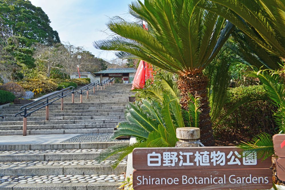 白野江植物公園の画像 - 4枚目