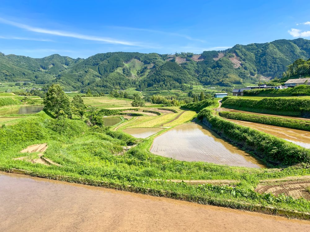 栃又棚田の画像 - 2枚目