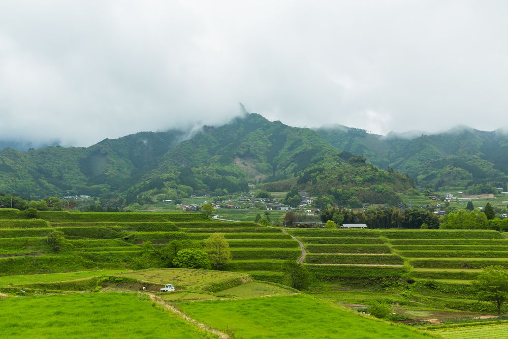 栃又棚田の画像 - 3枚目