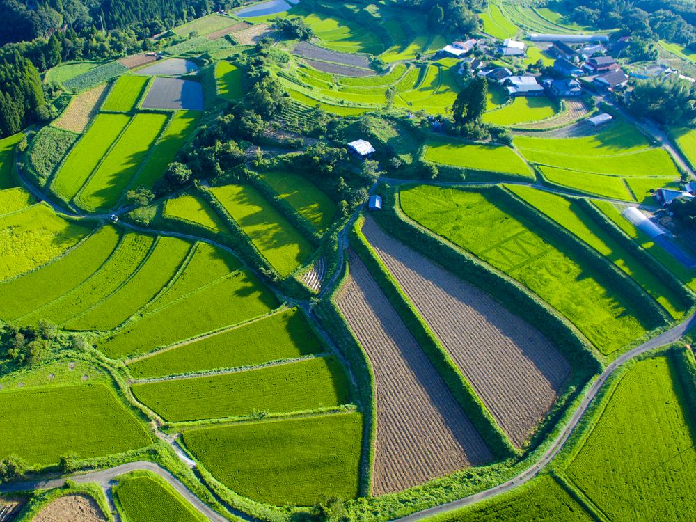 栃又棚田の画像 - 4枚目