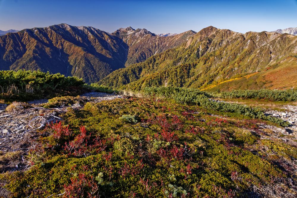 針ノ木峠の画像 - 2枚目