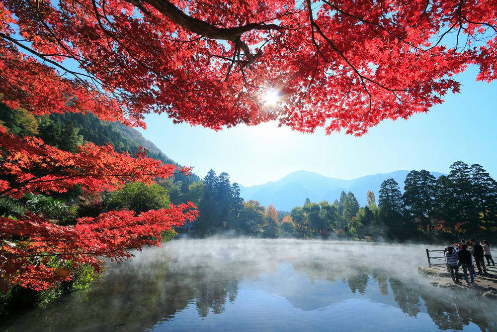金鱗湖の画像 - 2枚目