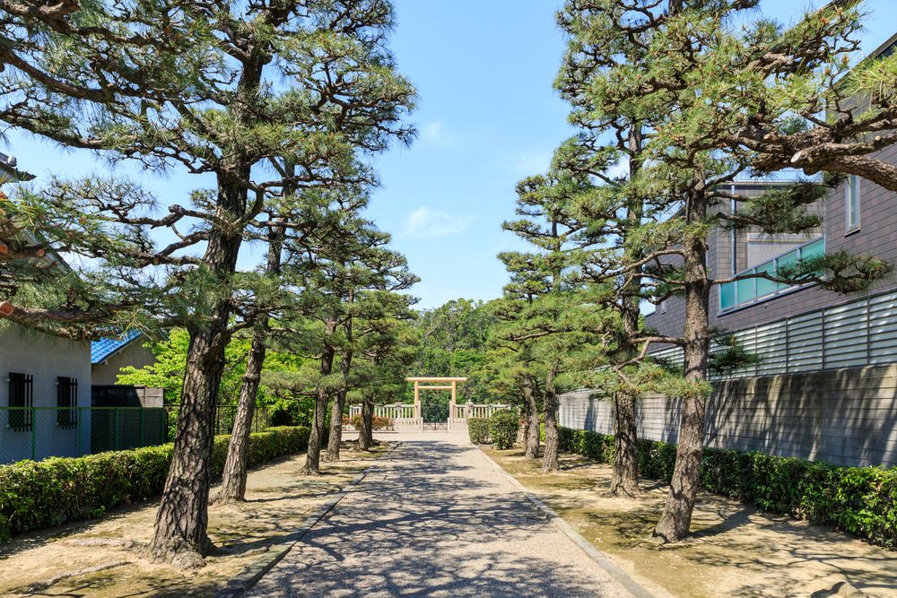 百舌鳥耳原南陵（履中天皇陵古墳）の画像 - 3枚目