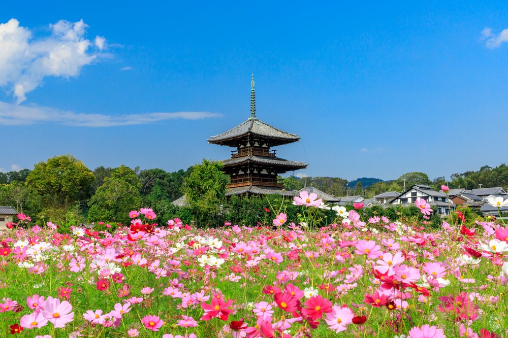 法起寺の画像 - 2枚目