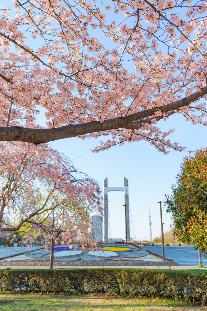 木場公園の画像 - 2枚目