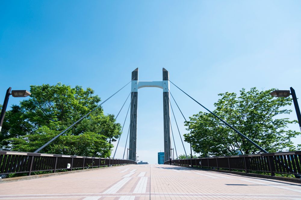 木場公園の画像 - 5枚目