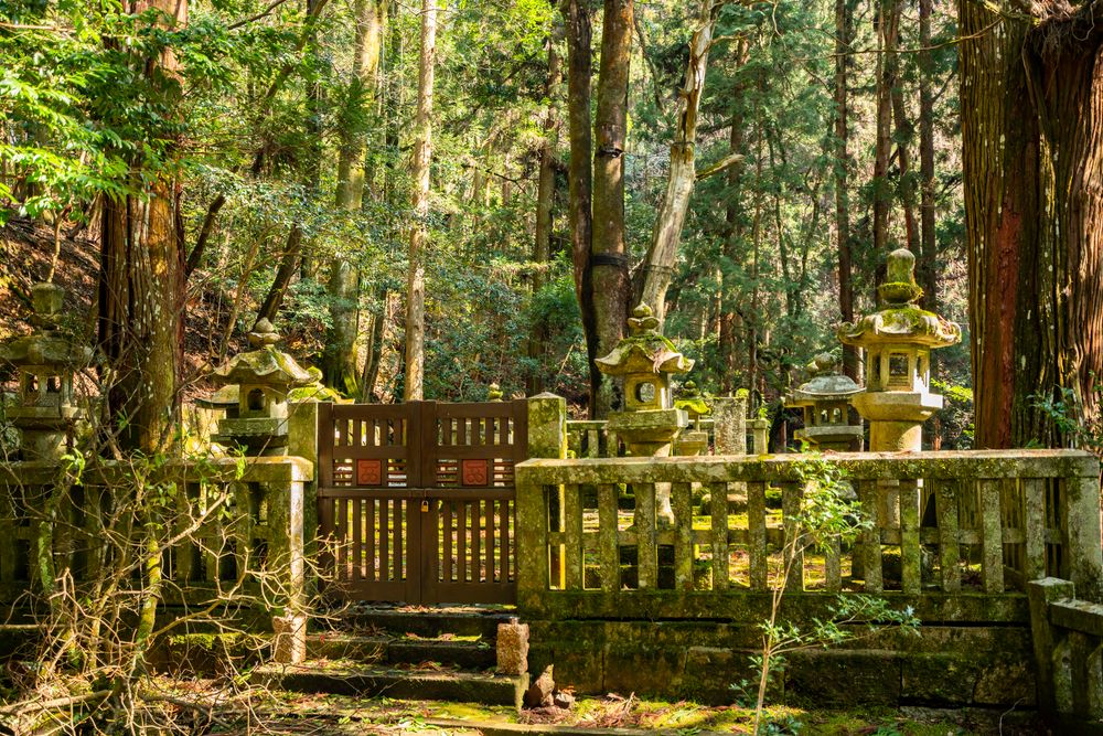 郡山城の画像 - 3枚目