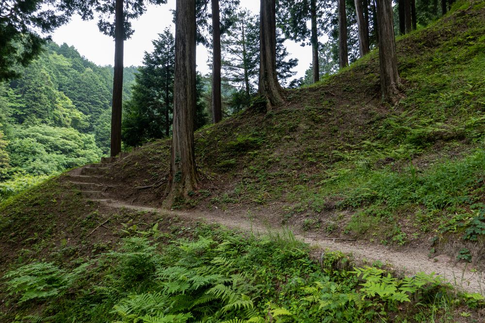 大野城の画像 - 3枚目
