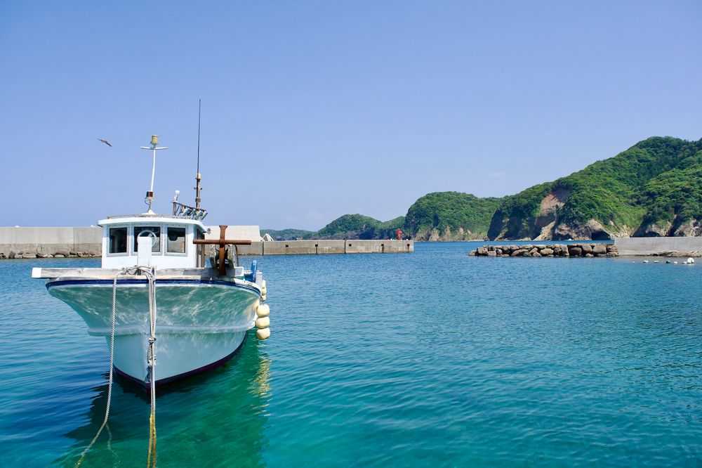 沖泊