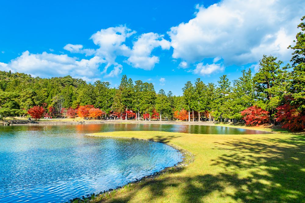 毛越寺の画像 - 2枚目