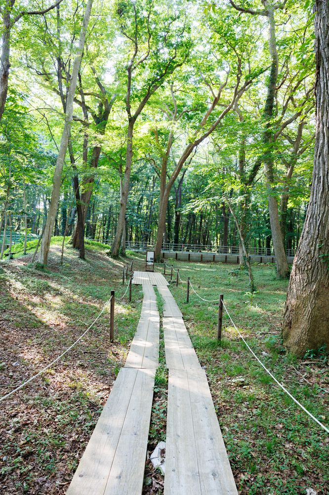 キウス周堤墓群の画像 - 3枚目