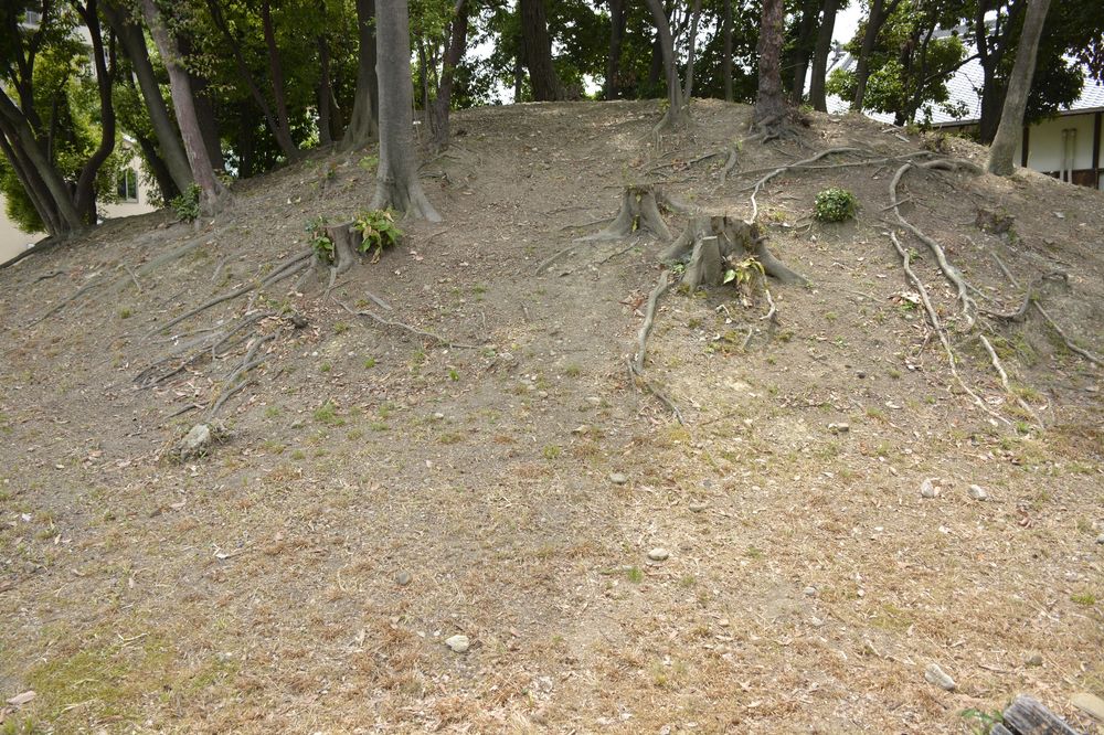 塚廻古墳の画像 - 3枚目