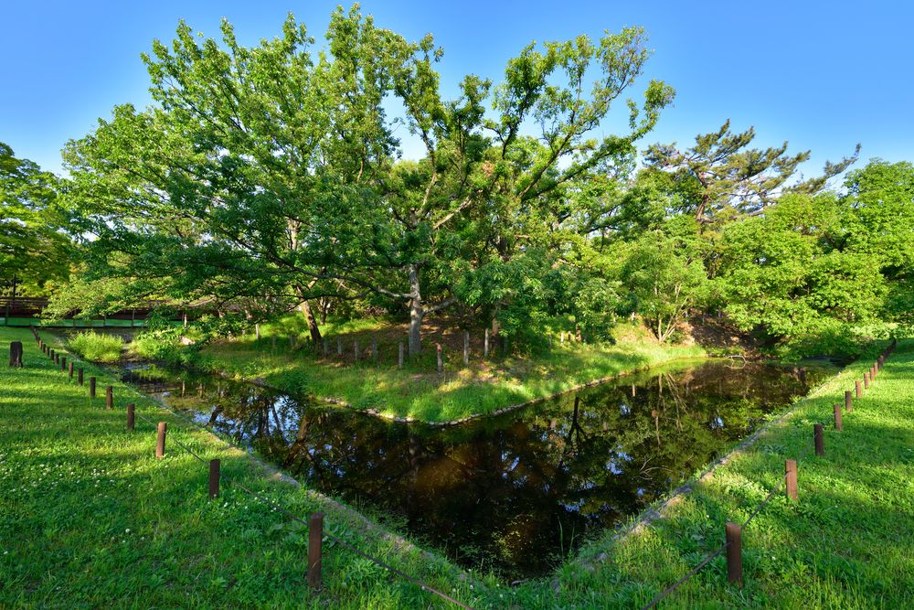 竜佐山古墳の画像 - 3枚目
