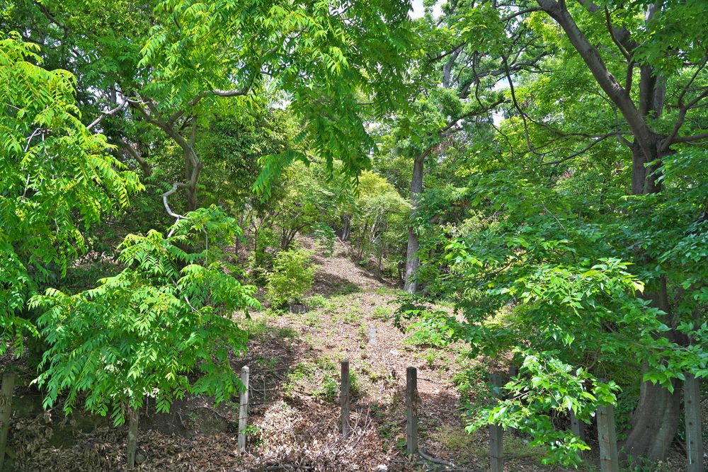 丸保山古墳の画像 - 3枚目